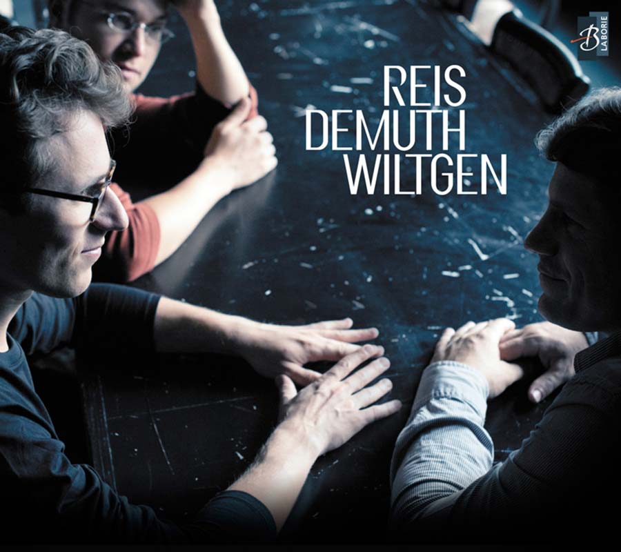 Cover of Reis - Demuth - Wiltgen