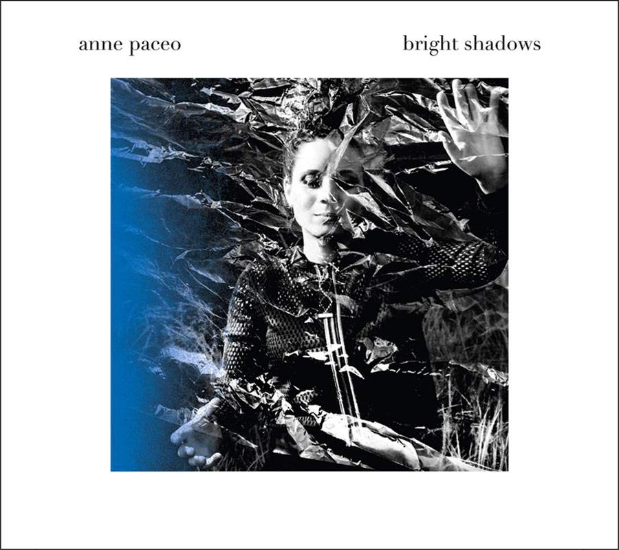 Cover of Bright Shadows